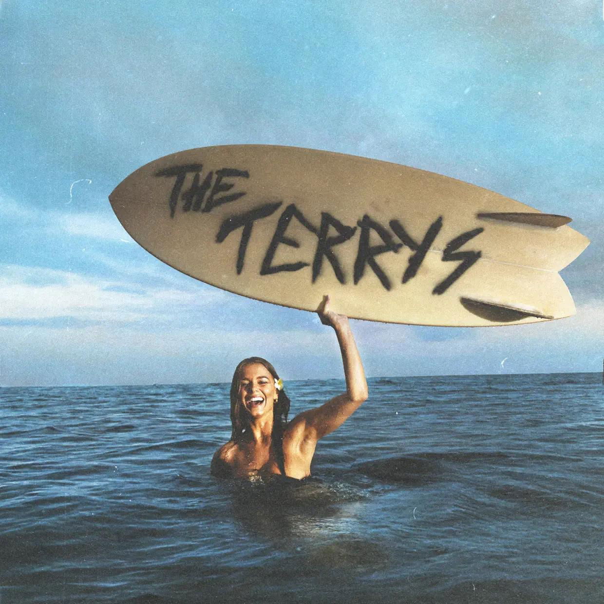 CD Shop - THE TERRYS TERRYS