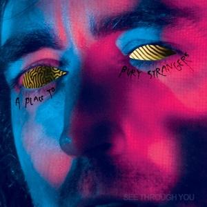 CD Shop - A PLACE TO BURY STRANGERS SEE THROUGH YOU