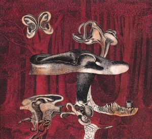 CD Shop - ANVIL FX PROVA DE BIOLOGIA