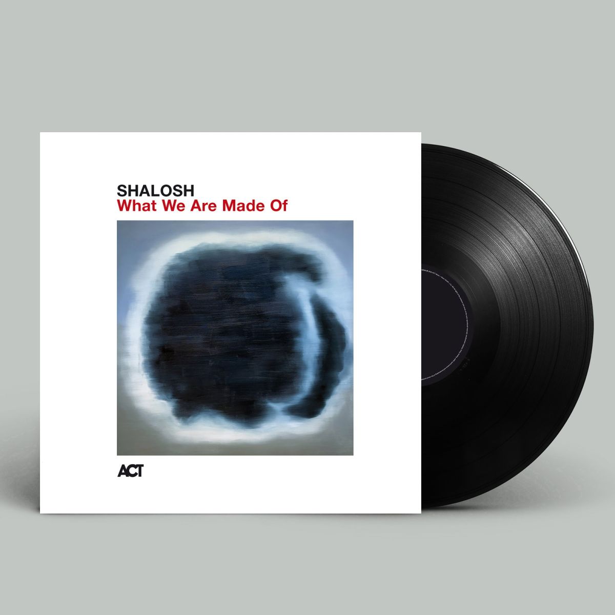 CD Shop - SHALOSH WHAT WE ARE MADE OF