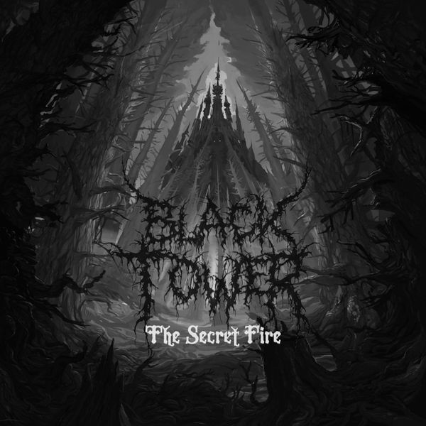 CD Shop - BLACK TOWER SECRET FIRE