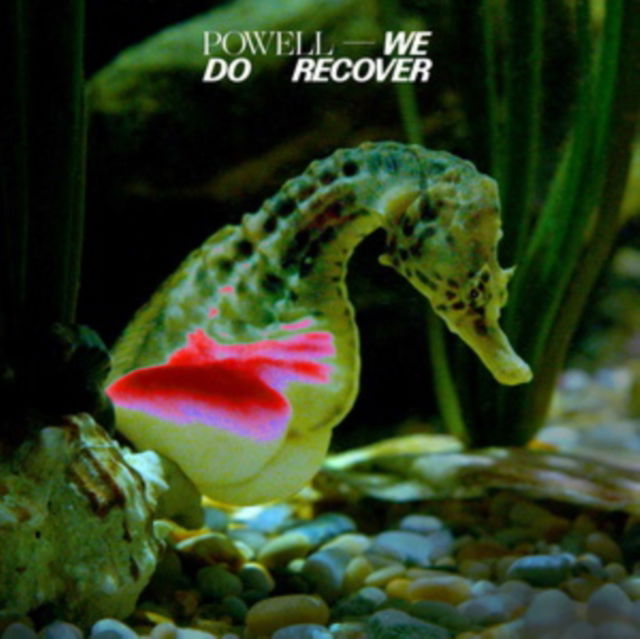CD Shop - POWELL WE DO RECOVER