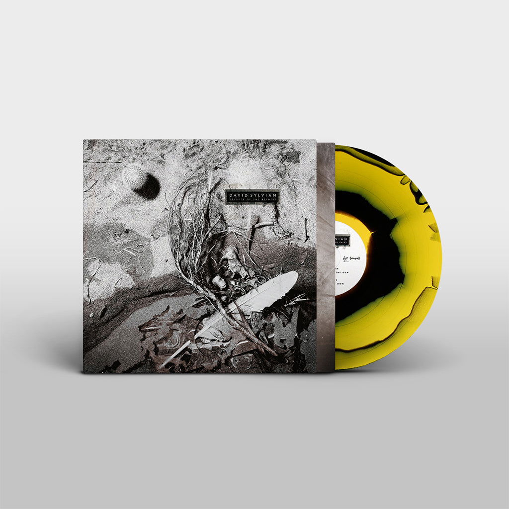 CD Shop - DAVID SYLVIAN SECRETS OF THE BEEHIVE