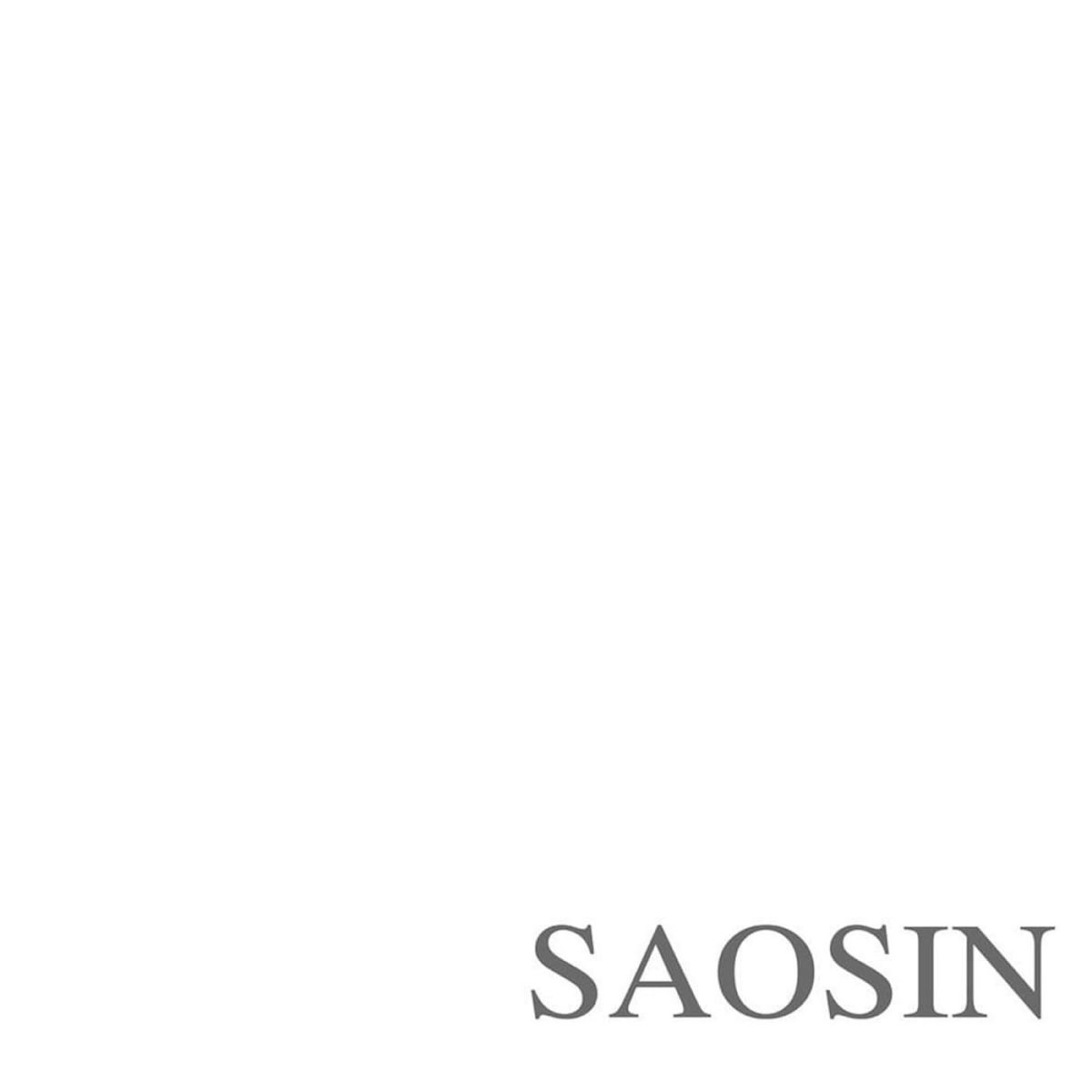 CD Shop - SAOSIN TRANSLATING THE NAME