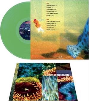CD Shop - STEVE -BAND- MORSE SPLIT DECISION