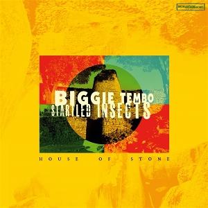CD Shop - BIGGIE TEMBO & STARTLED INSECTS BIGGIE TEMBO & STA...
