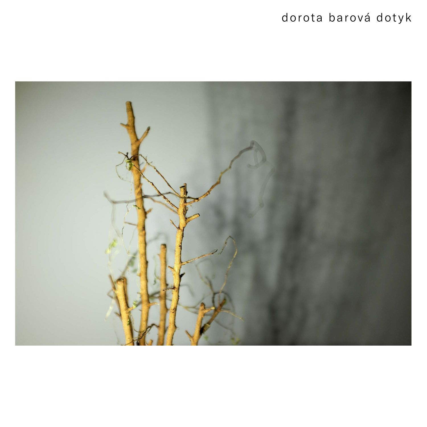 CD Shop - DOROTA BAROVA DOTYK