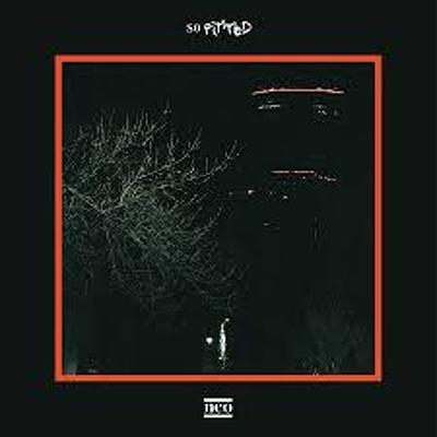 CD Shop - SO PITTED NEO