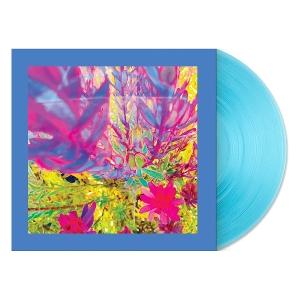 CD Shop - REDS, PINKS AND PURPLES PAST IS A GARDEN I NEV...