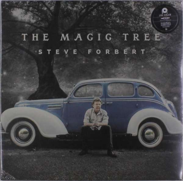 CD Shop - STEVE FORBERT MAGIC TREE