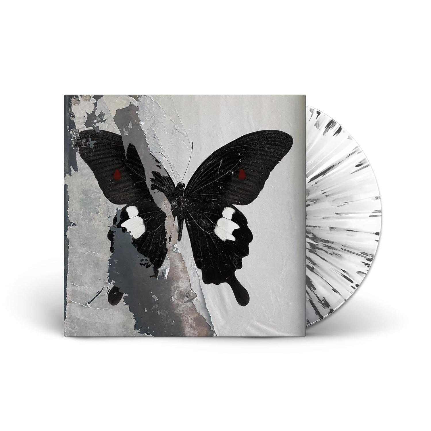 CD Shop - DEATH CULT PARADISE NOW