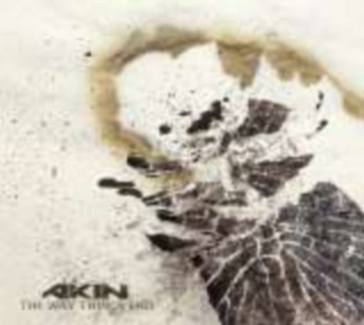 CD Shop - AKIN THE WAY THINGS END