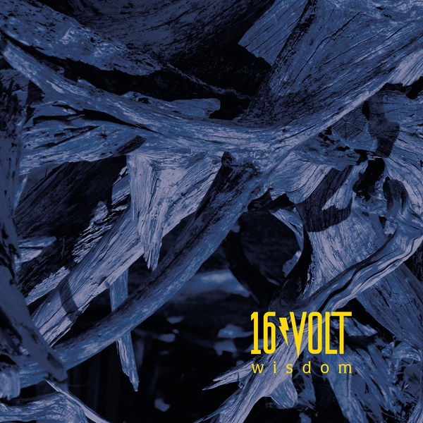 CD Shop - 16VOLT WISDOM