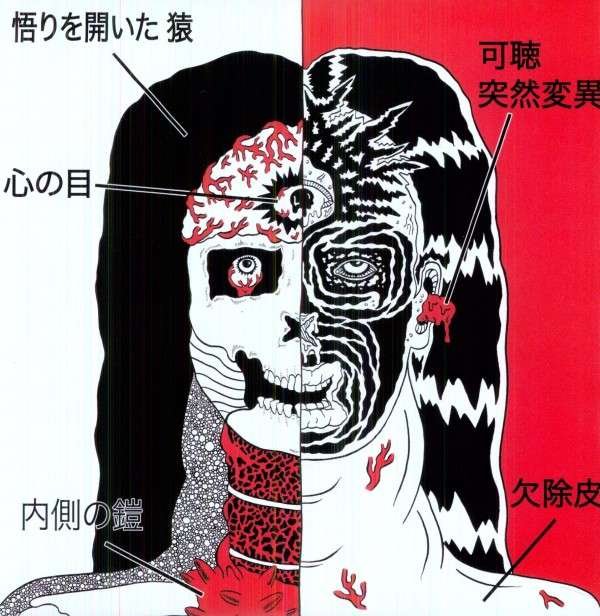 CD Shop - FARFLUNG SPLIT