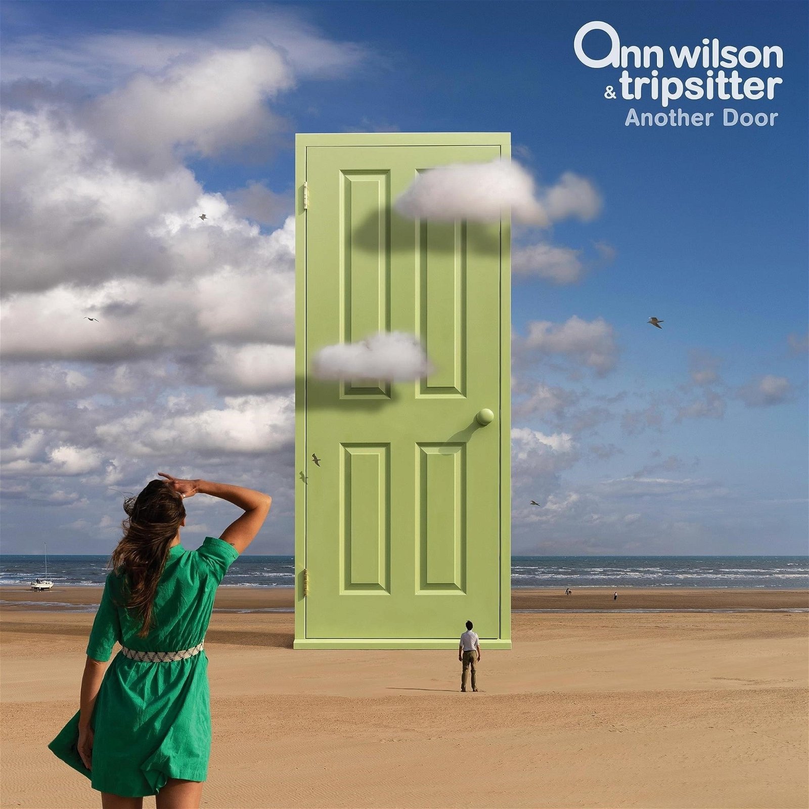 CD Shop - ANN & TRIPSITTER WILSON ANOTHER DOOR