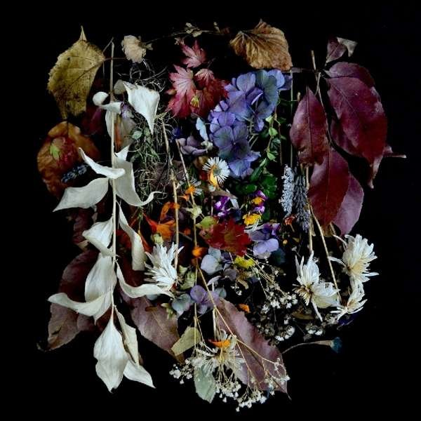 CD Shop - PAWS YOUR CHURCH ON MY BONFIRE