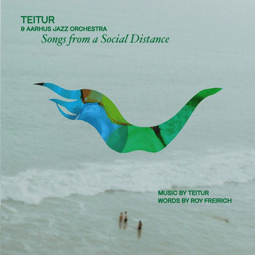 CD Shop - TEITUR,AARHUS JAZZ ORCHESTRA SONGS FROM A SOCIAL DI...