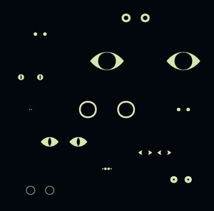 CD Shop - CHRISTINA BJORKOE ANIMAL UNIVERSE