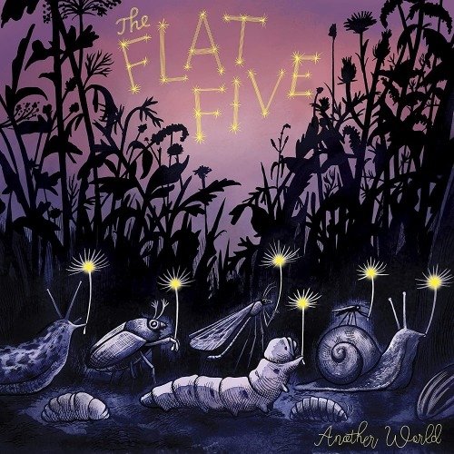 CD Shop - THE FLAT FIVE ANOTHER WORLD