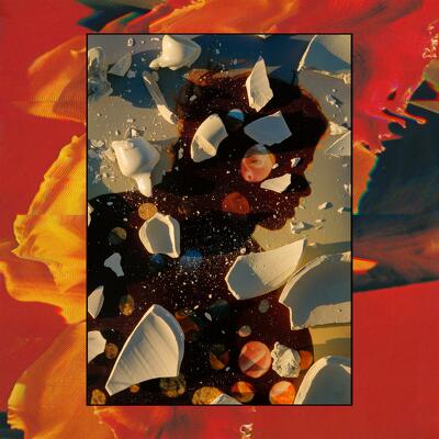 CD Shop - HAND HABITS SUGAR THE BRUISE