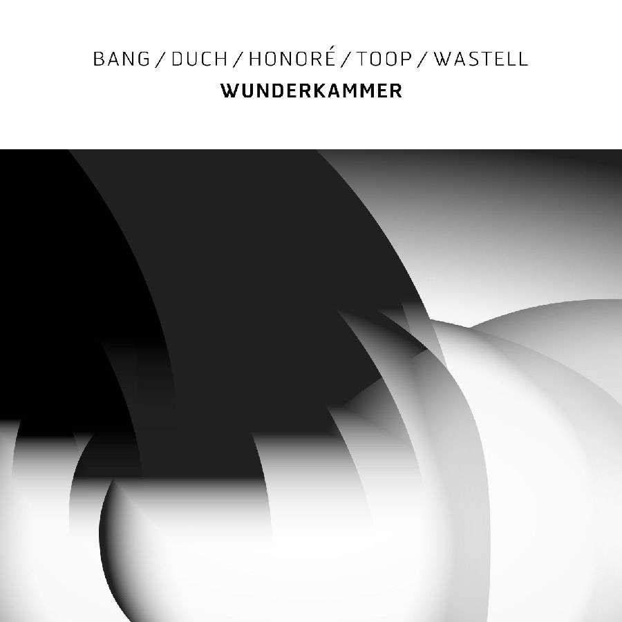 CD Shop - BANG, DUCH, HONORE, TOOP, WASTELL WUNDERKAMMER