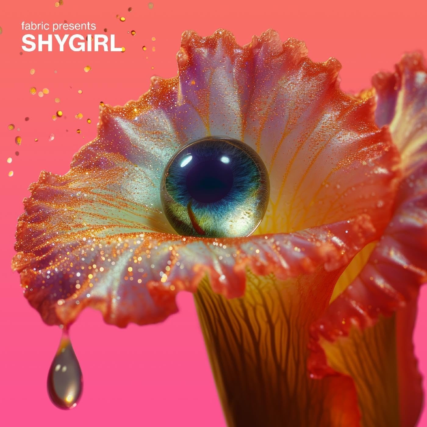 CD Shop - V/A FEAT. SHYGIRL FABRIC PRESENTS SHYG
