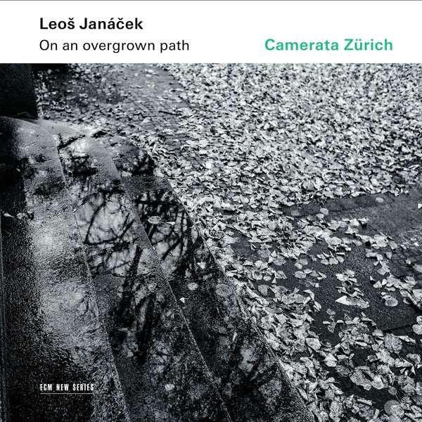 CD Shop - CAMERATA ZURICH ON AN OVERGROWN PATH