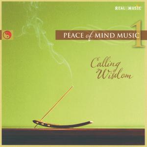 CD Shop - VARIOUS ARTISTS PEACE OF MIND MUSIC 1