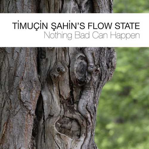 CD Shop - TIMUCIN SAHIN\
