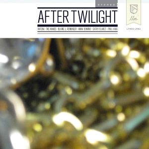 CD Shop - VARIOUS ARTISTS AFTER TWILIGHT