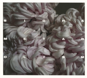 CD Shop - METABILISM SIGHA