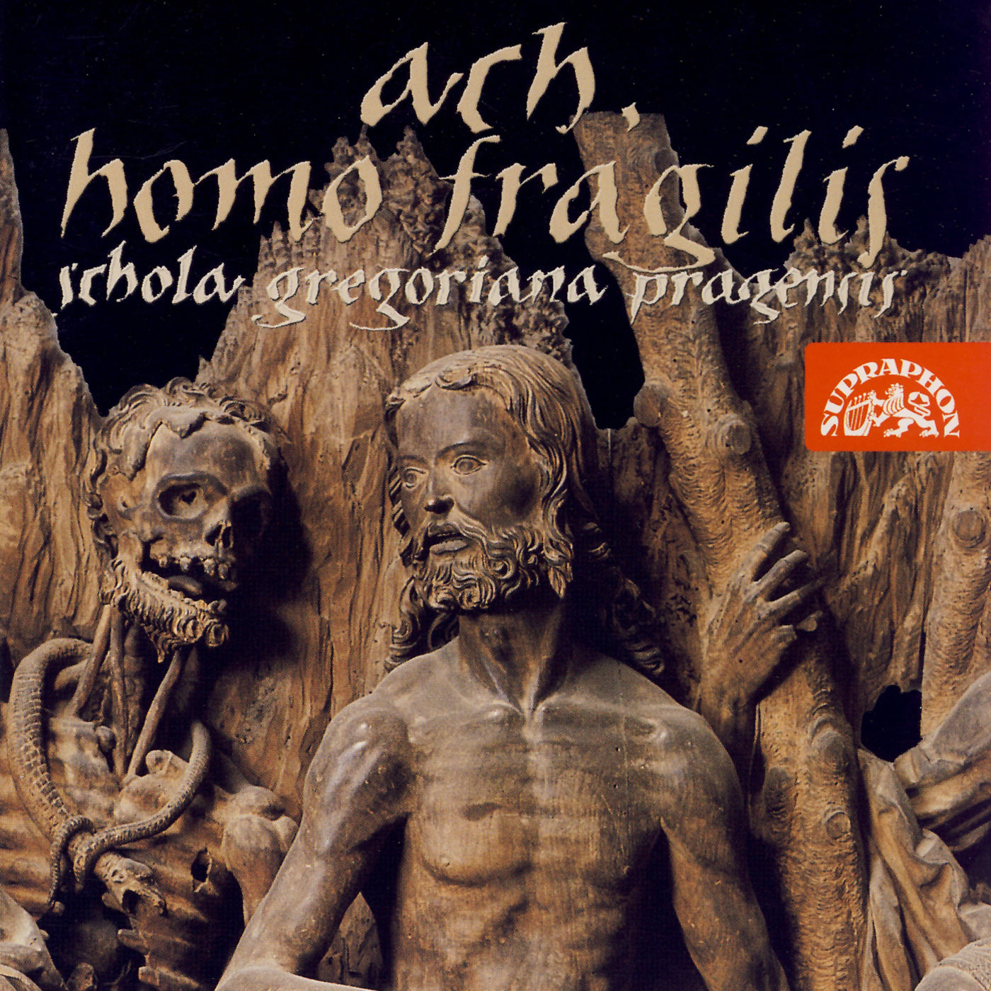 CD Shop - PETRA NOSKAIOVA ACH, HOMO FRAGILIS