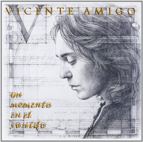 CD Shop - VICENTE AMIGO UN MOMENTO EN EL SONIDO