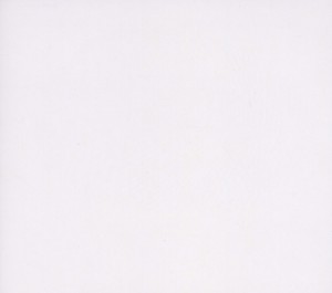 CD Shop - SYLVAIN LUC ORGANIC