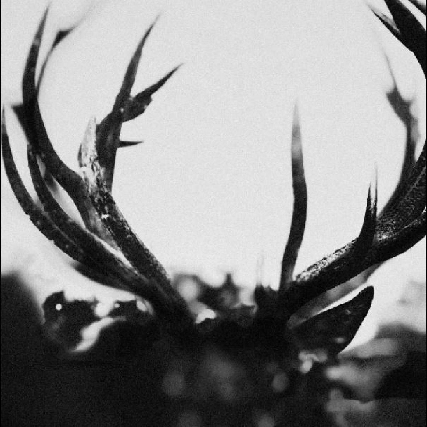 CD Shop - IHSAHN IHSAHN