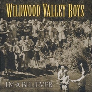 CD Shop - WILDWOOD VALLEY BOYS I\