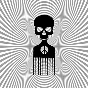CD Shop - THE VELDT ENTROPY IS THE MAINLIN...