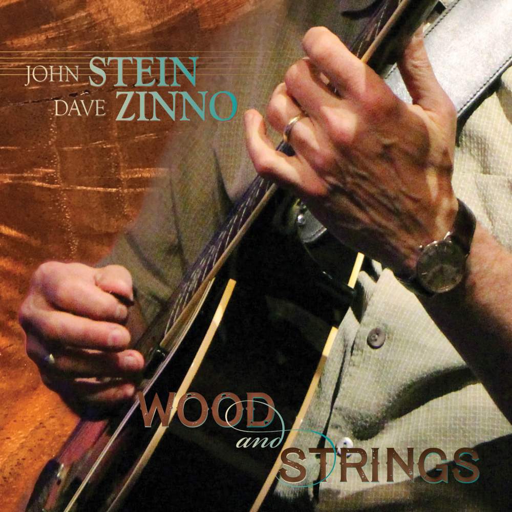 CD Shop - JOHN STEIN,DAVE ZINNO WOOD AND STRINGS