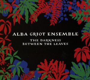 CD Shop - ALBA GRIOT ENSEMBLE DARKNESS BETWEEN THE L...