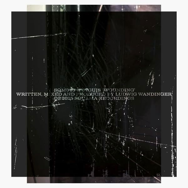CD Shop - SANGUIS WOUNDING