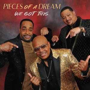 CD Shop - PIECES OF A DREAM WE GOT THIS