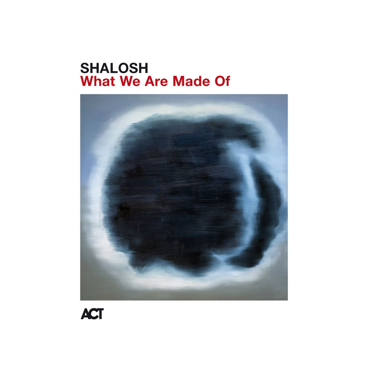 CD Shop - SHALOSH WHAT WE ARE MADE OF