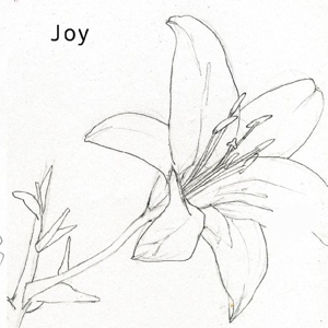 CD Shop - JOY JOY