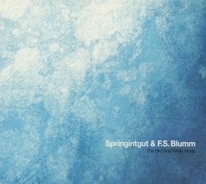 CD Shop - SPRINGINTGUT BIRD & WHITE NOISE