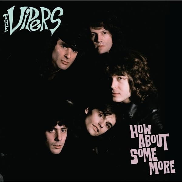 CD Shop - THE VIPERS HOW ABOUT SOME MORE