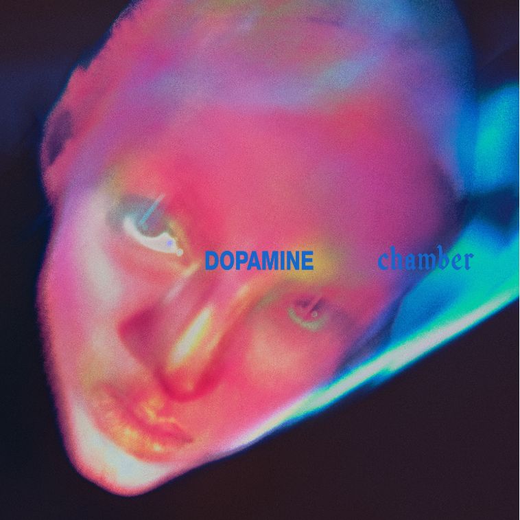 CD Shop - FONTAINES D.C. DOPAMINE CHAMBER