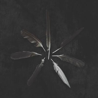 CD Shop - CASPIAN DUST AND DISQUIET