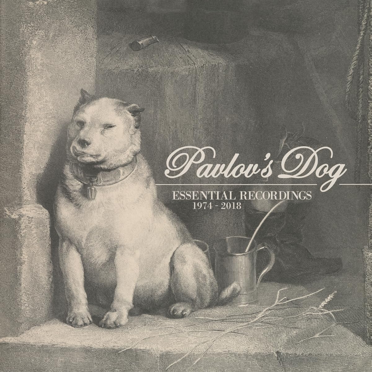 CD Shop - PAVLOV\