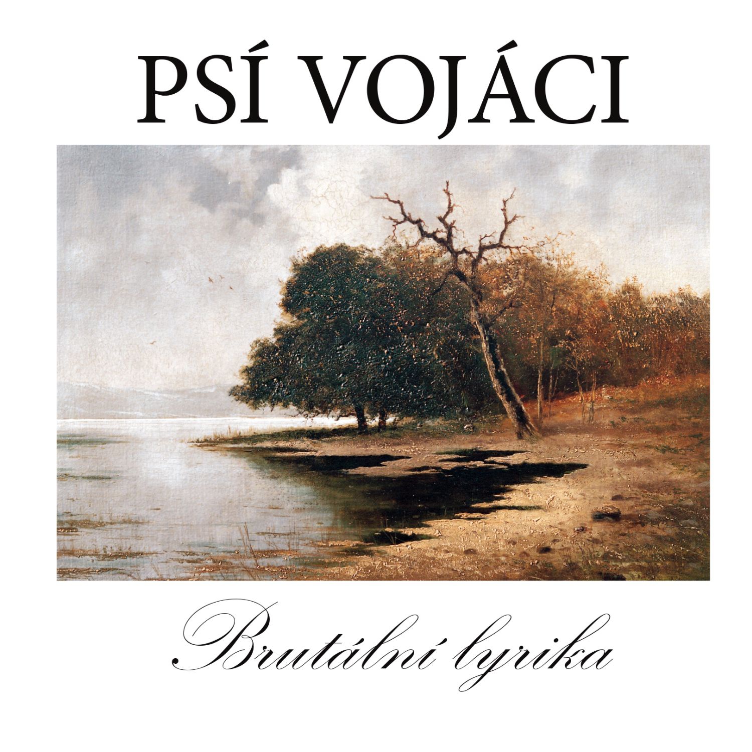 CD Shop - PSI VOJACI BRUTALNI LYRIKA