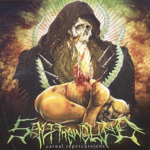 CD Shop - SALT THE WOUND CARNAL REPERCUSSIONS